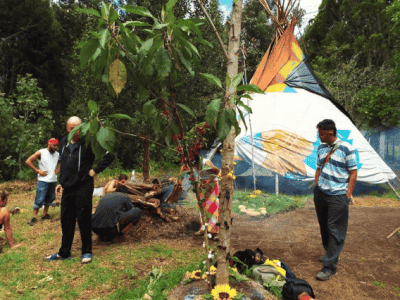 Rasa Healing Center