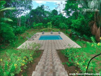 Flower of Life Ayahuasca Retreats