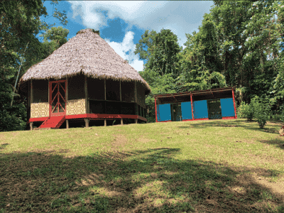 Flower of Life Ayahuasca Retreats