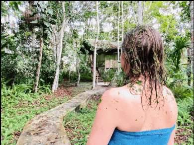 Caya Shobo Ayahuasca Healing Center