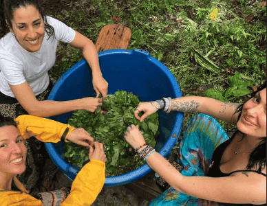 Caya Shobo Ayahuasca Healing Center