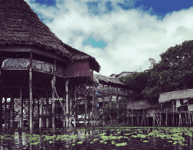 Caya Shobo Ayahuasca Healing Center