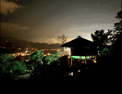 Ayahuasca Costa Rica