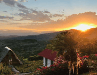 Ayahuasca Costa Rica