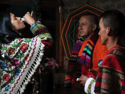 Ayahuasca House