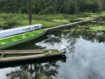 Luz Y Vida Amazon Lodge