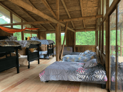 Alma Healing Center