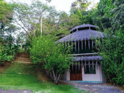 Spirit Vine Ayahuasca Retreat Center