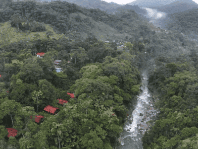 Maha Devi Ayahuasca Retreats