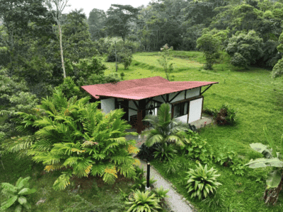 Maha Devi Ayahuasca Retreats