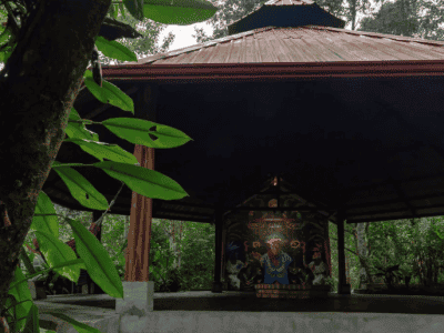 Maha Devi Ayahuasca Retreats