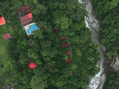 Maha Devi Ayahuasca Retreats