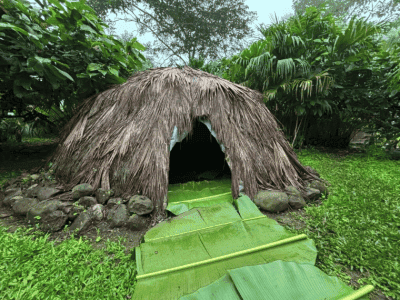 ANEWLux Retreats