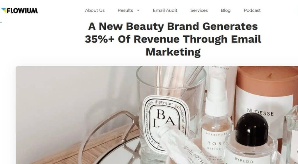 What are the 8 types of digital marketing 9 email marketing revenue growth case study 1