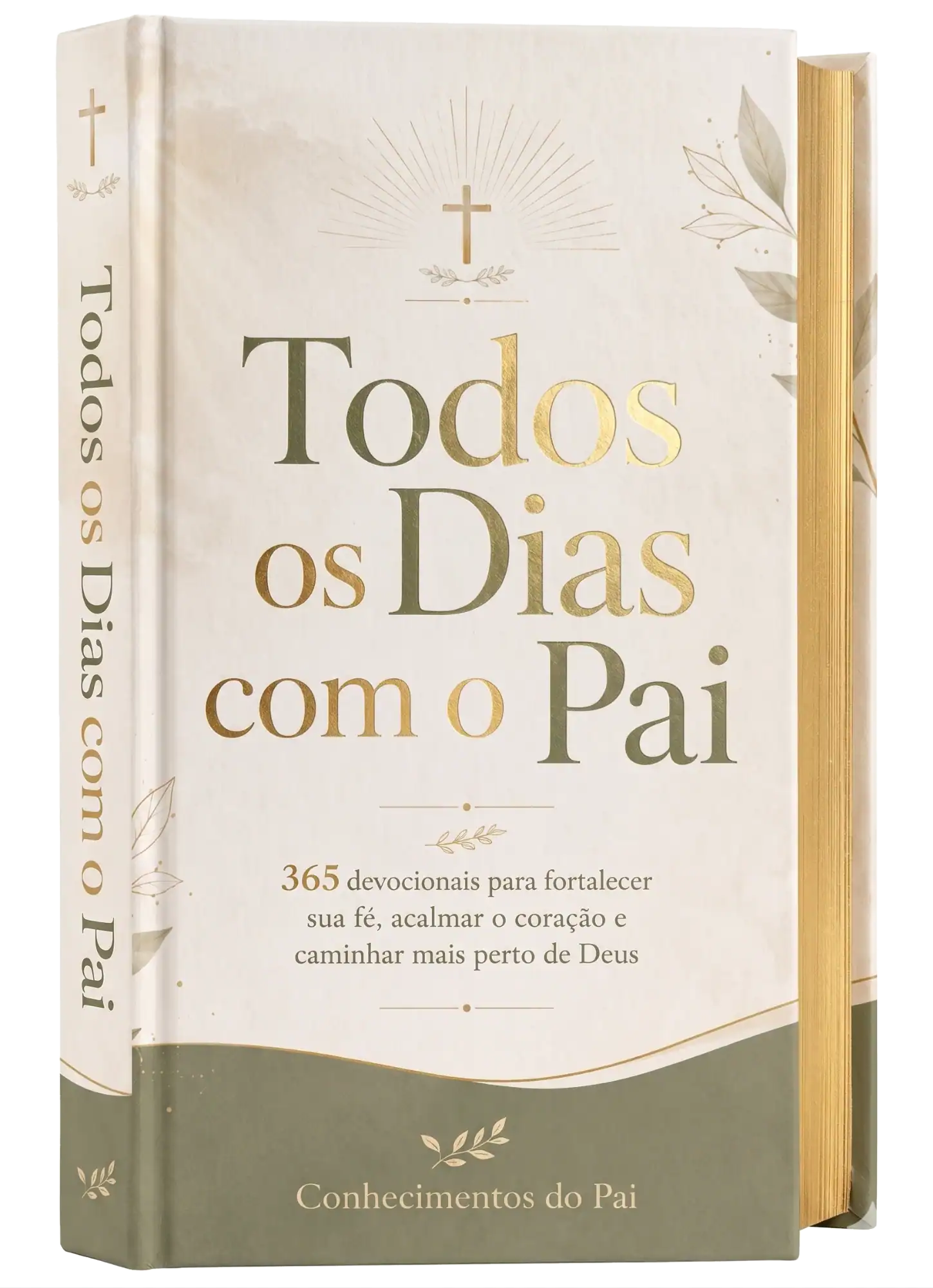Livro físico Todos os Dias com o Pai