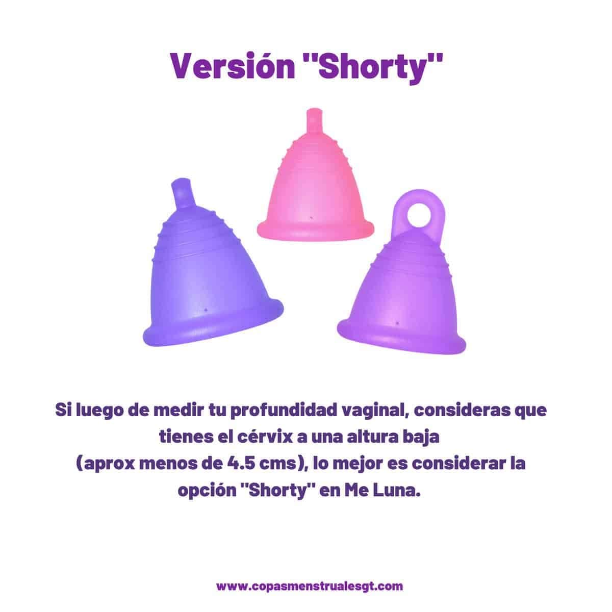 Meluna Clásica - Imagen 6