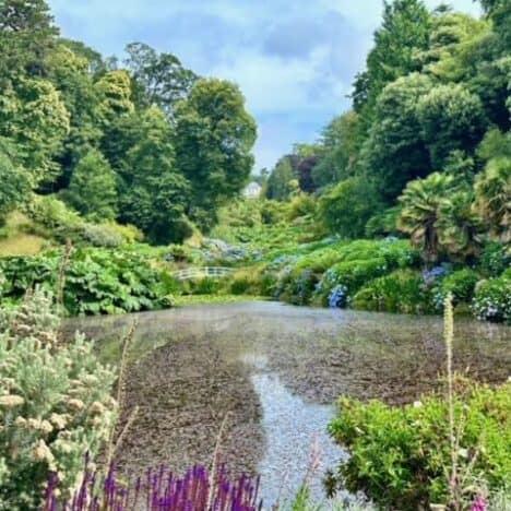 The Best Things To Do In Cornwall Summer 2024
