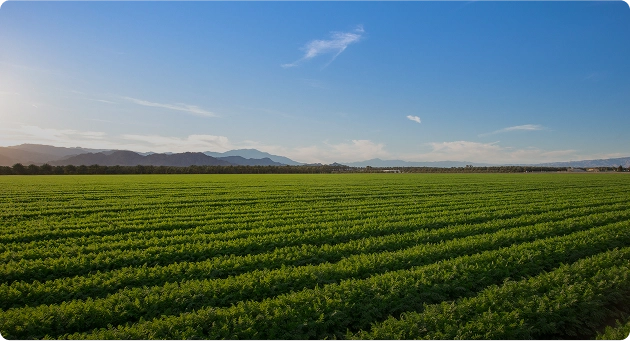 Land managed