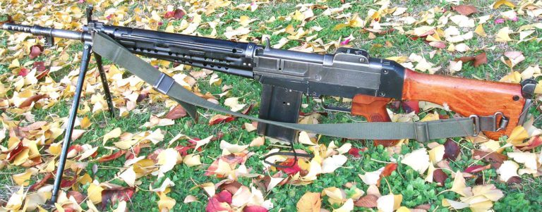 Howa Type 64 Rifle - 01