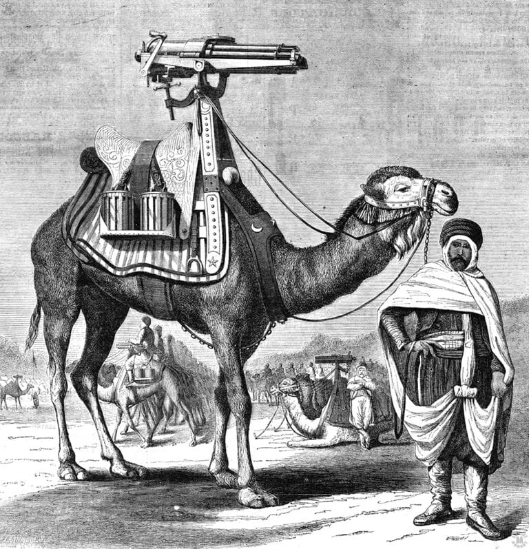 Model 1874 Gatling Gun, Short model — photo 1