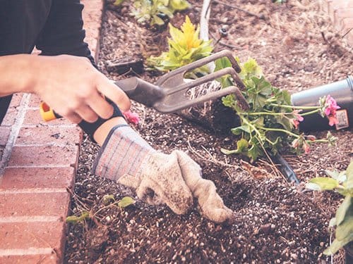 Hands using garden trowel to plant flowers in soil