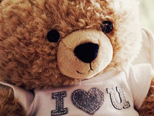 Close-up teddy bear plush toy wearing a shirt
