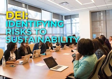 DEI: Identifying Risks to Sustainability