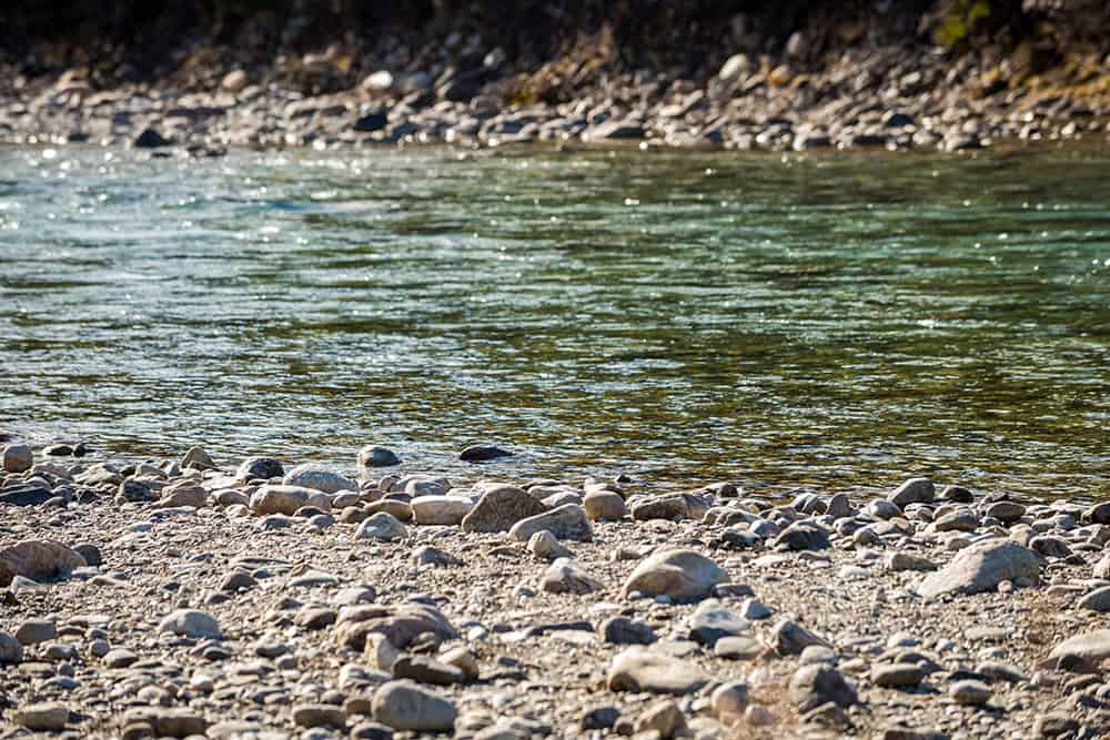 EDGE Contributes to Rare Freshwater Mussel Discovery in Tennessee