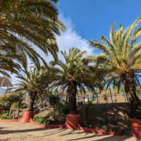 fun-et-yoga-casa-hoom-123