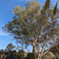 fun-et-yoga-casa-hoom-124