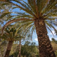 fun-et-yoga-casa-hoom-125