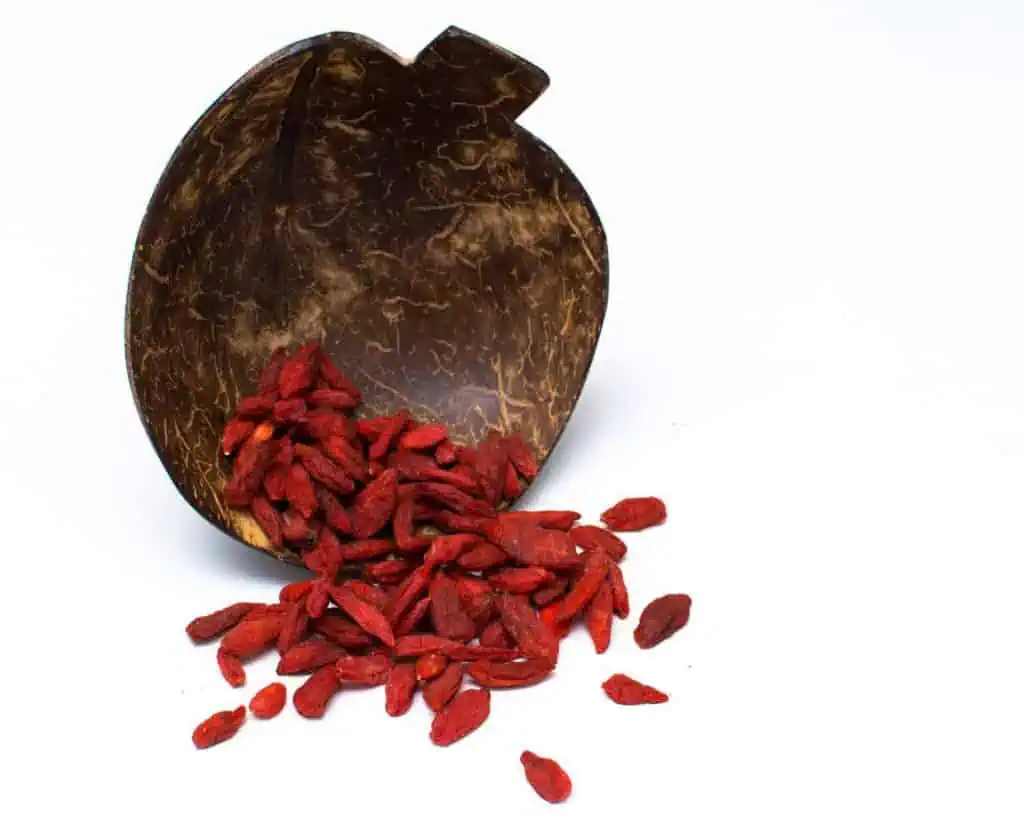 Bagas de Goji