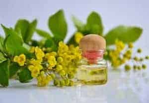óleos naturais de cílios