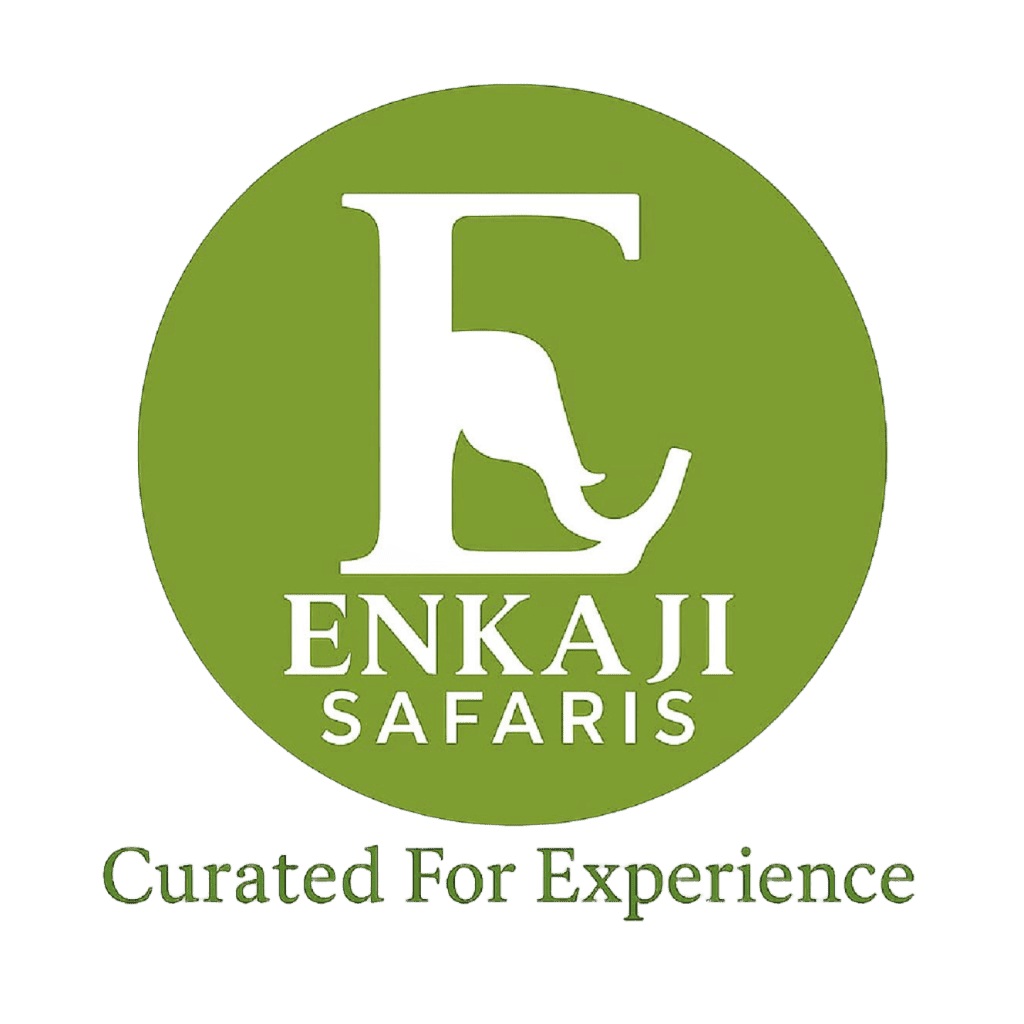 Comprehensive Wildlife Photographers Guide (Kenya &Tanzania)