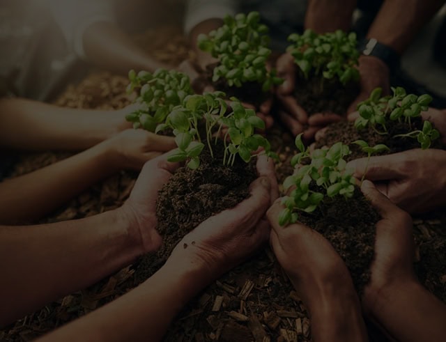 Participa <br> de proyectos