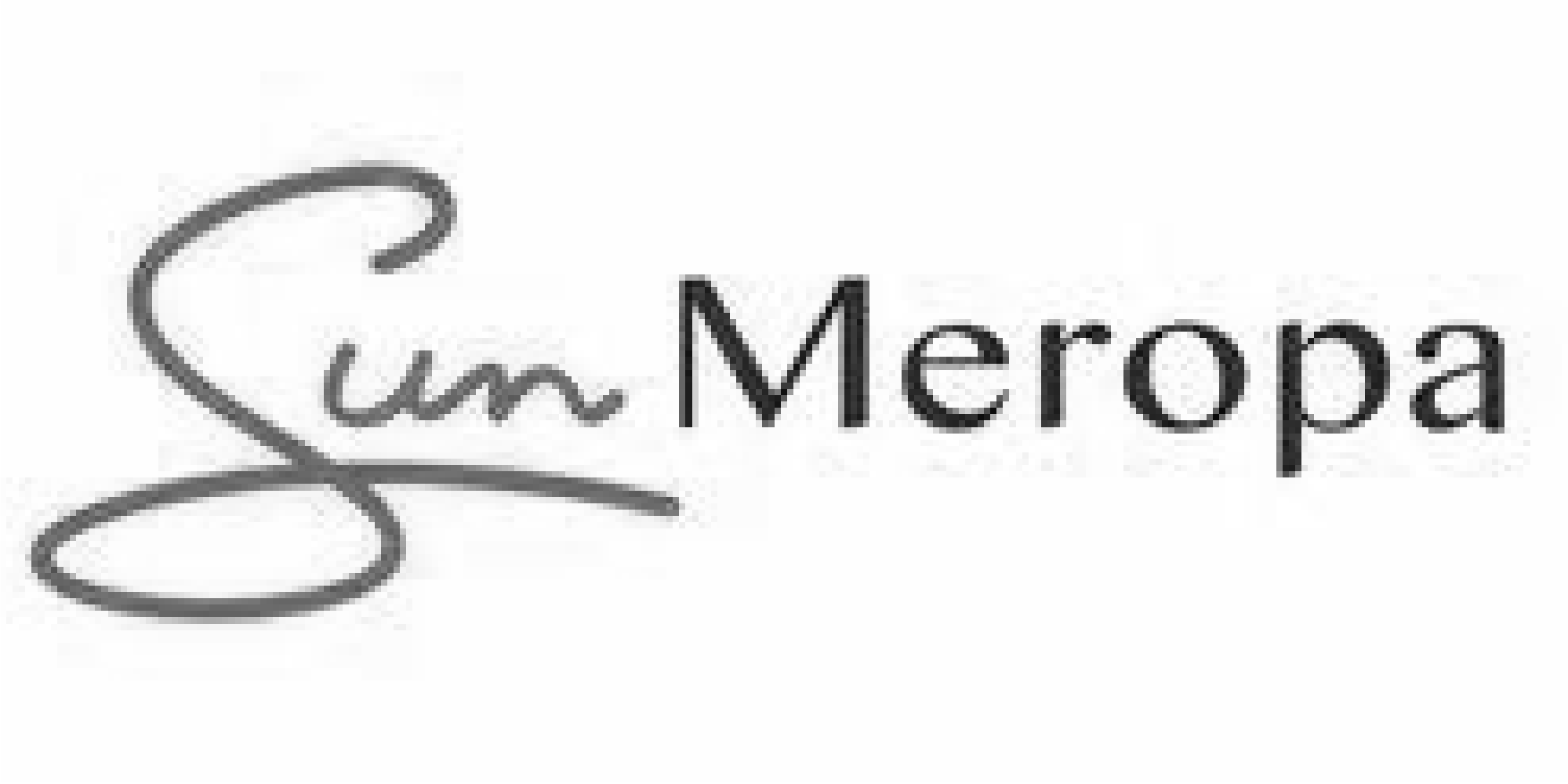 Gina Website logos RESIZE_Sun Meropa