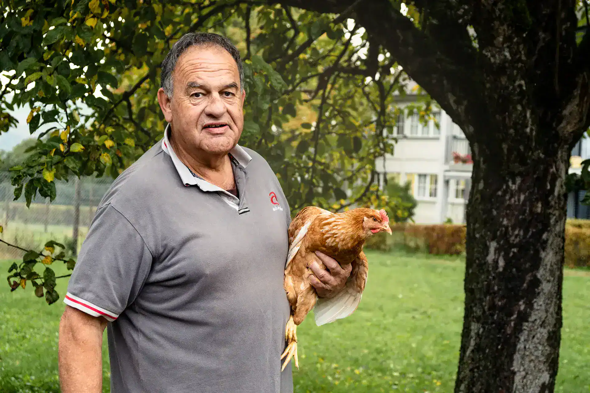 Mann hält ein Huhn im Garten eines Bauernhofs. Freiland-Hühner. Artgerechte Haltung