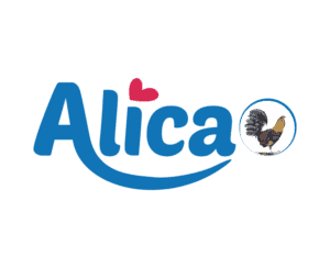 Alica