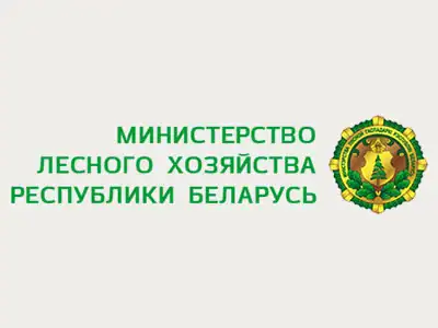 Галерея работ