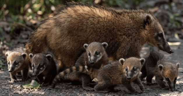 Jornada soleada y continuidad de buen tiempo el fin de semana
