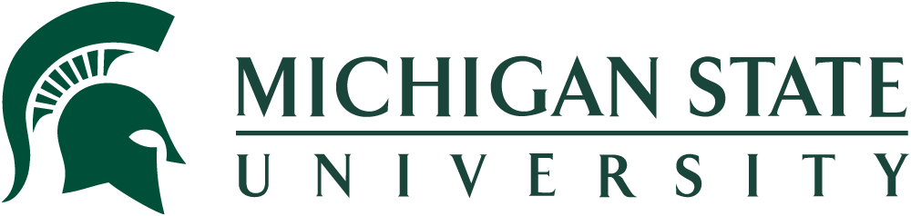 Michigan University
