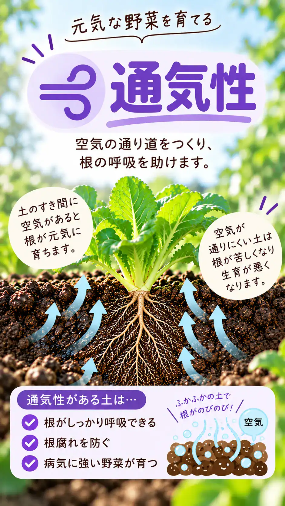 通気性　土