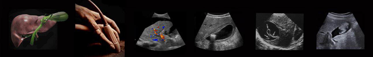 Hands-on general abdominal ultrasound training class.