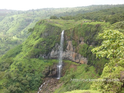 Top Indian Couple Blog by Nisha Jha and Vasudevan R - All Green in Mahabaleshwar