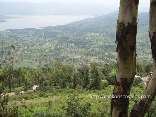 Top Indian Couple Blog by Nisha Jha and Vasudevan R - All Green in Mahabaleshwar