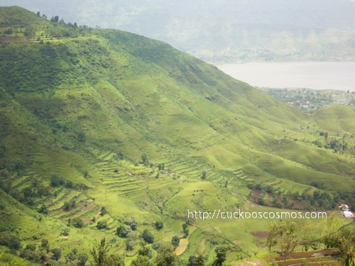Top Indian Couple Blog by Nisha Jha and Vasudevan R - All Green in Mahabaleshwar