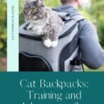 gray and white tabby cat in gray cat backpack being carried by a man wearing a gray sweatshirt
