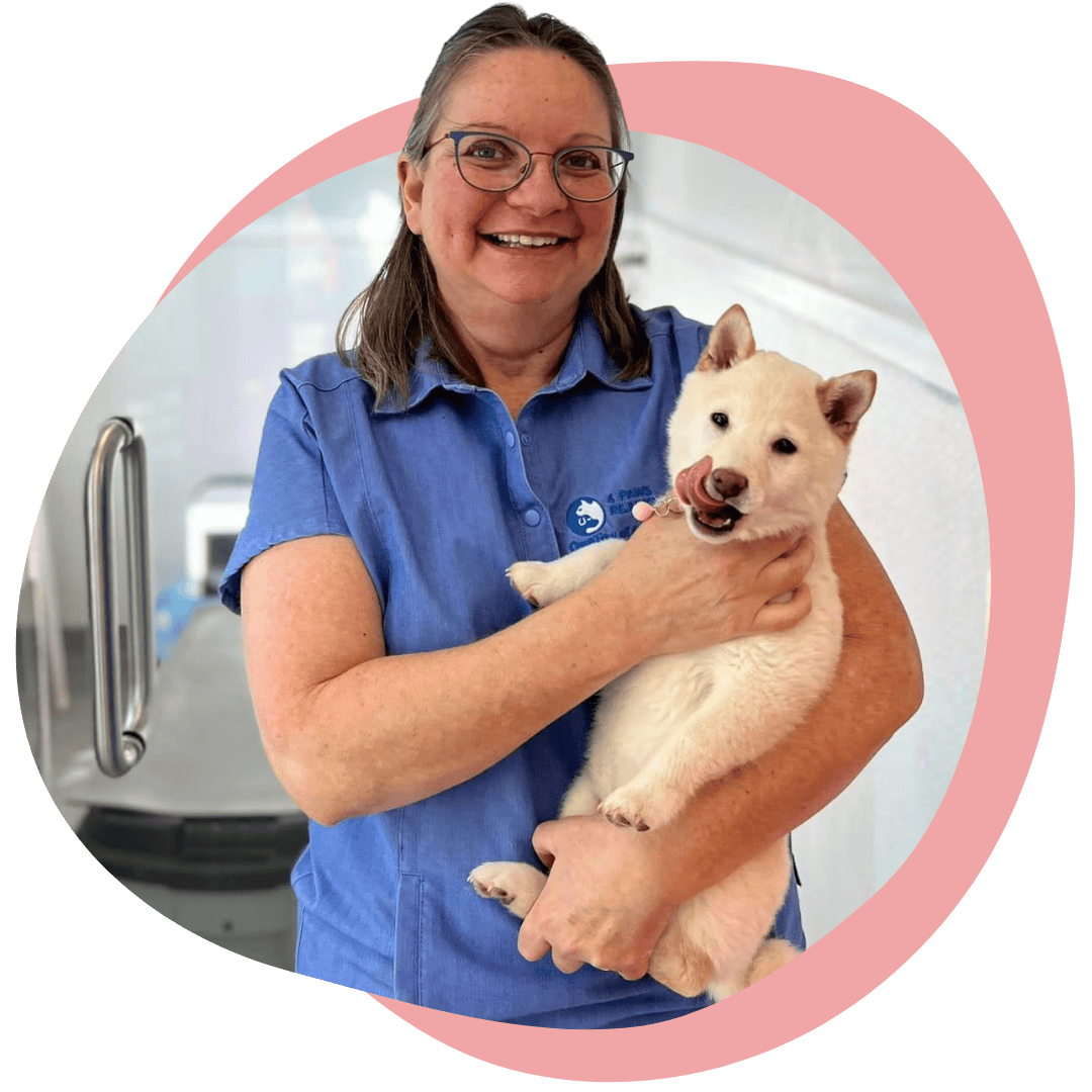 Dr. Teresa Bradley Bays of 4 Paws Rejuvenation holding a fluffy white puppy at Lily's Play-N-Stay in Belton, MO