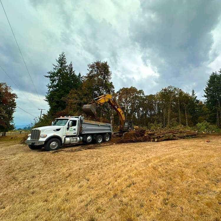 land-clearing-scappoose