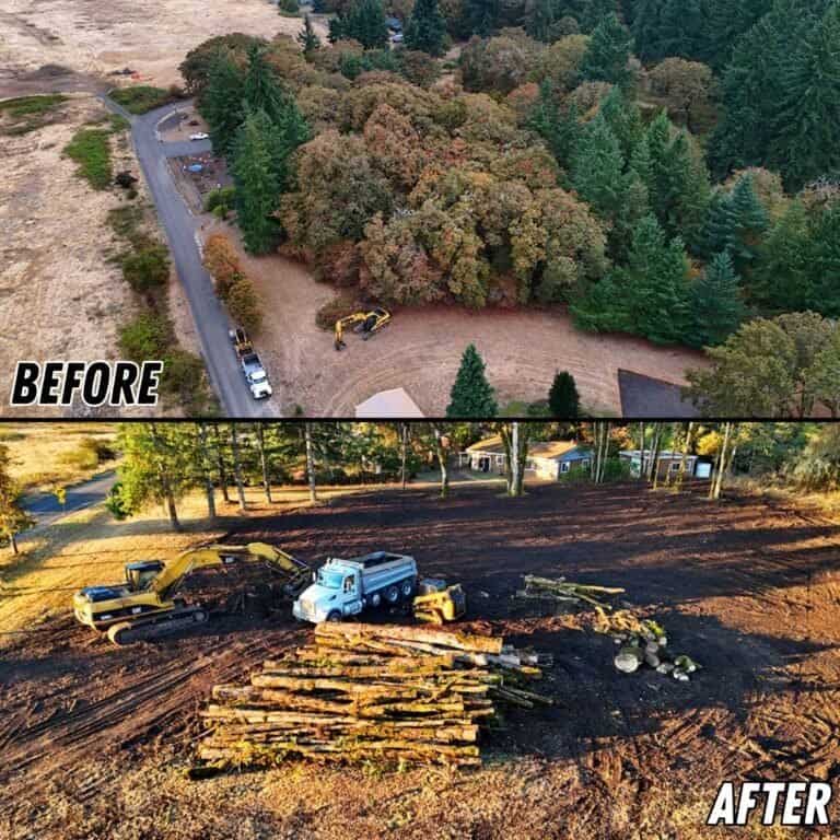 Land Clearing